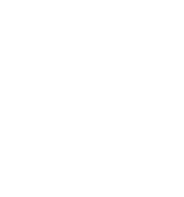 Saballus Logo